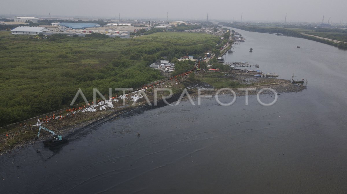 Pembersihan Sampah Di Pesisir Cilincing Antara Foto