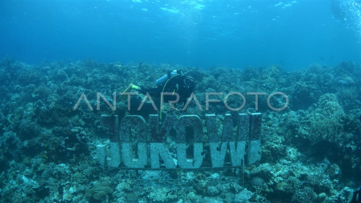 Wisata Bawah Laut Wakatobi Antara Foto