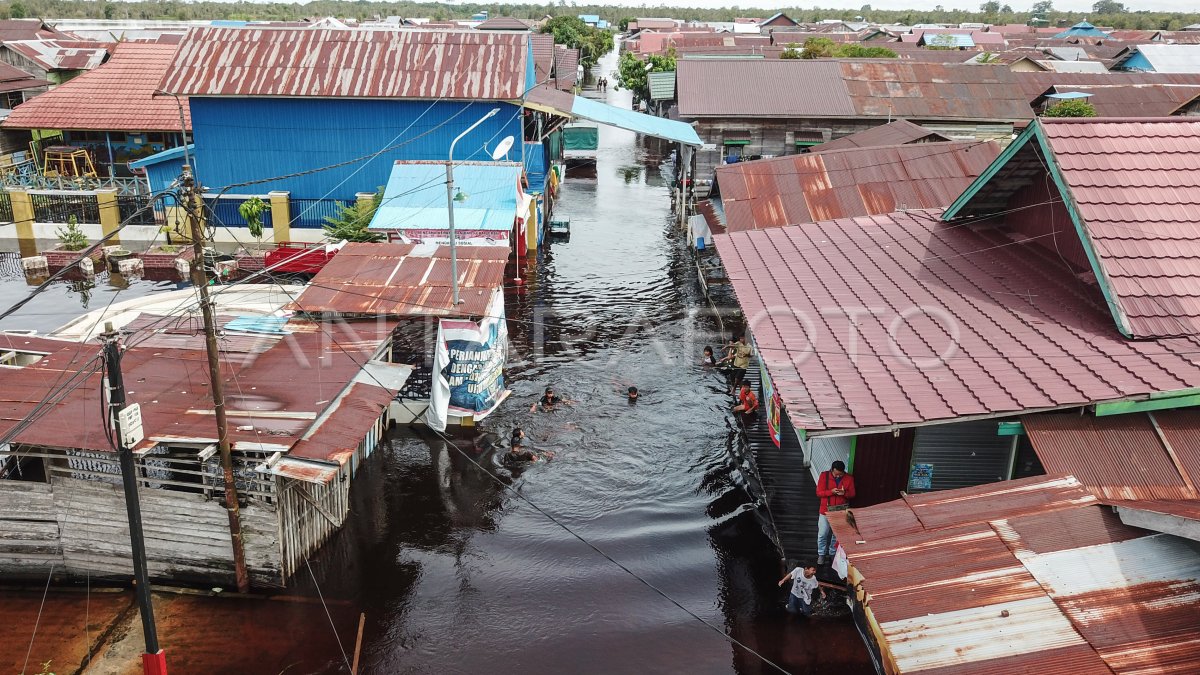 DAMPAK BANJIR RENDAM PERMUKIMAN DI PALANGKA RAYA ANTARA Foto