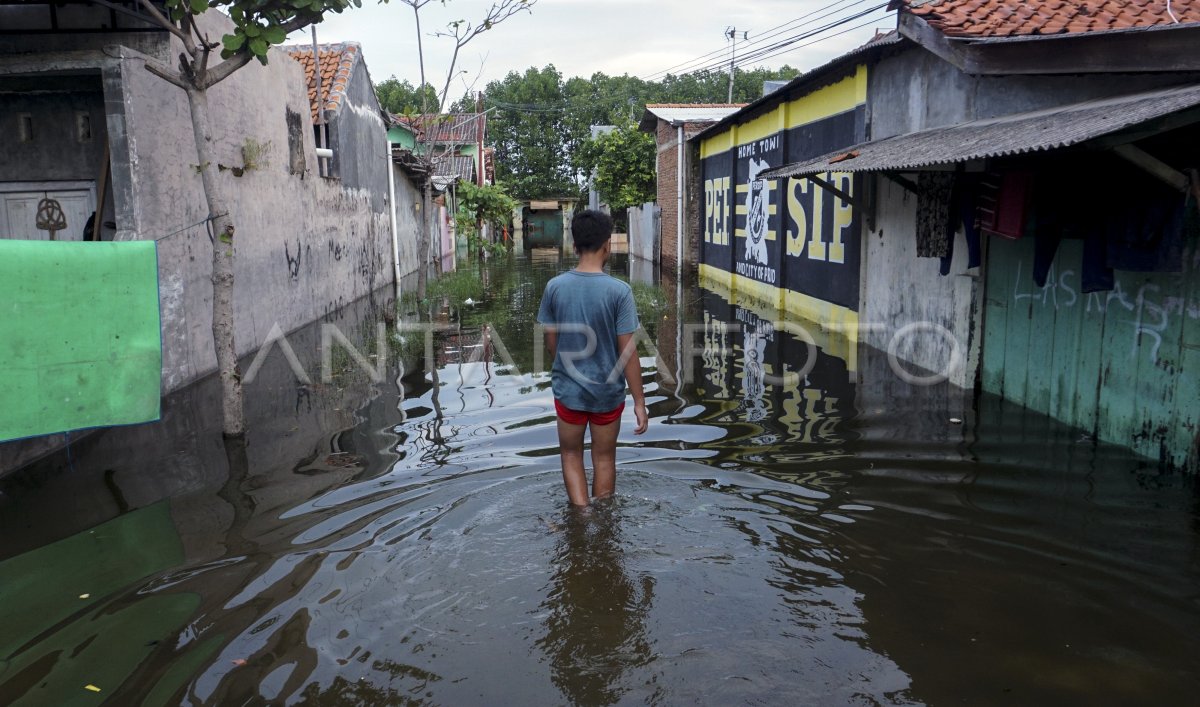 BANJIR ROB DI PEKALONGAN ANTARA Foto