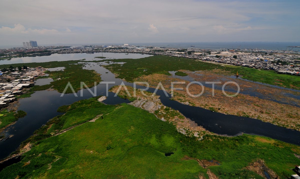 Normalisasi Waduk Pluit Antara Foto