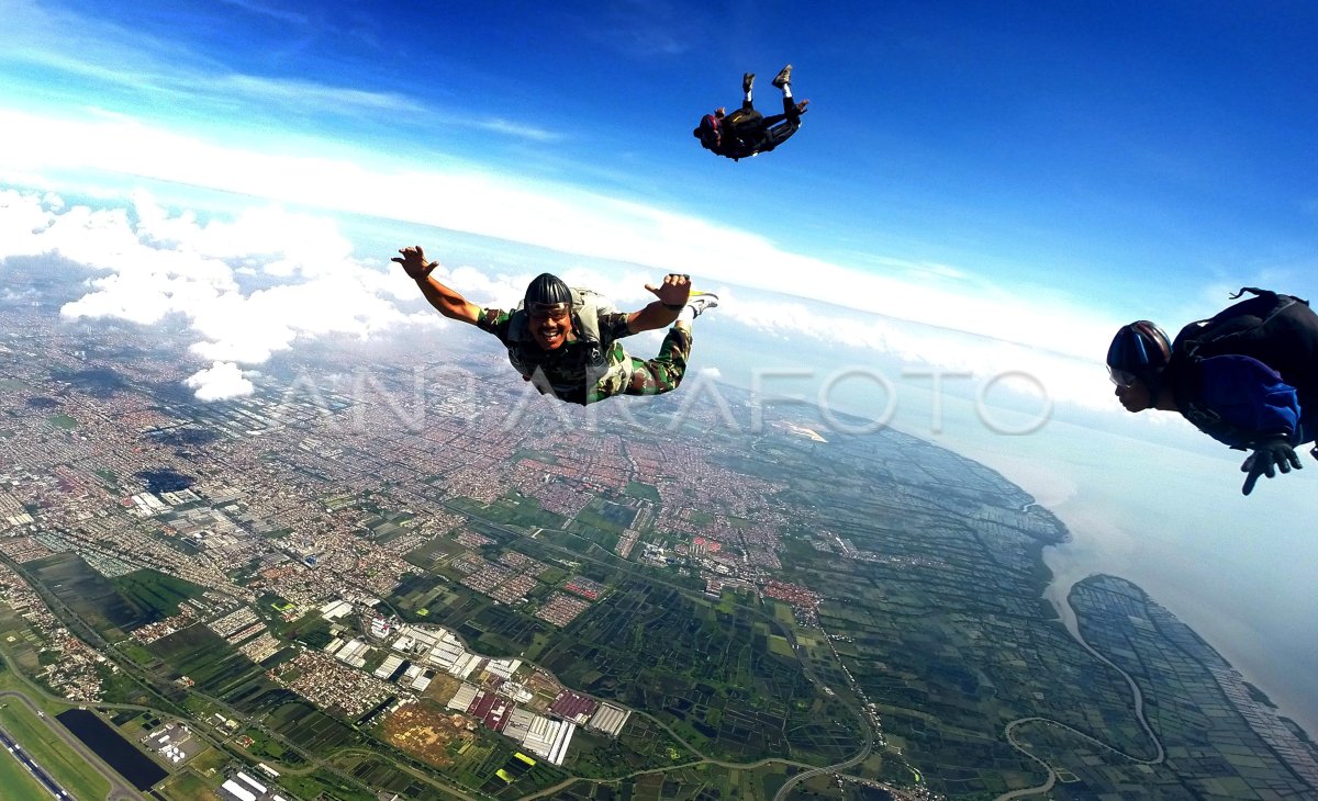 Terjun Bebas Latihan Pprc Tni Antara Foto