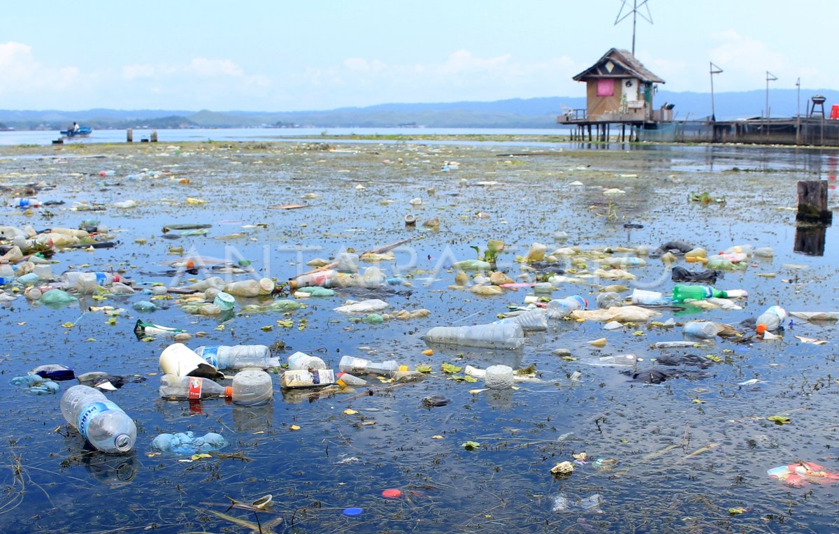 SAMPAH DANAU SENTANI ANTARA Foto