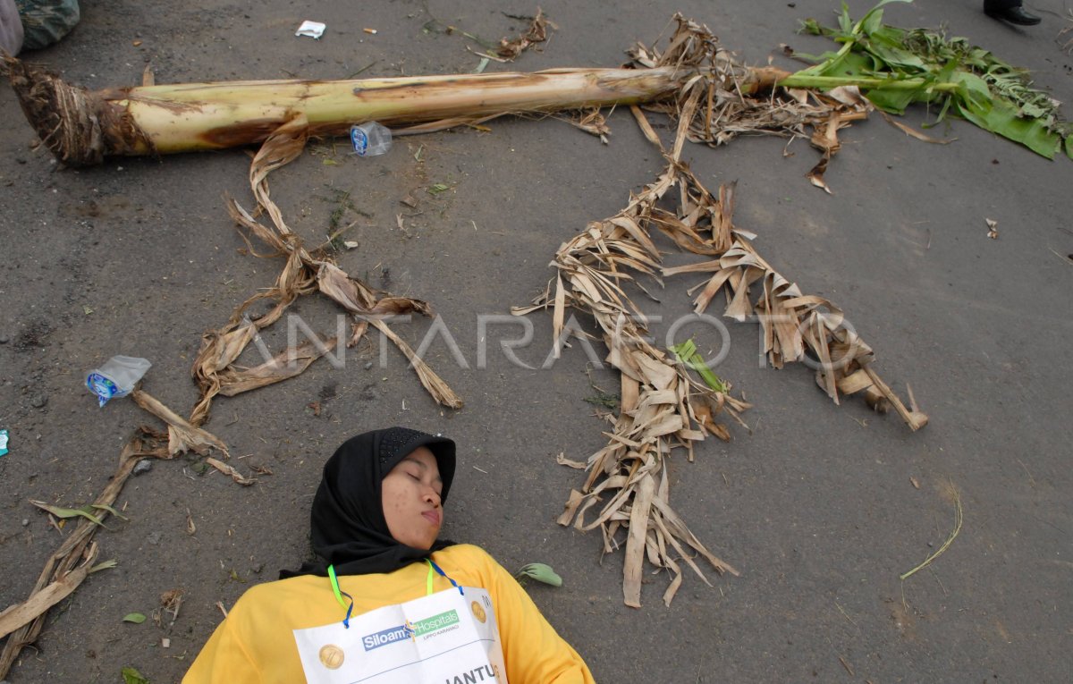 Tsunami Evakuasi Antara Foto