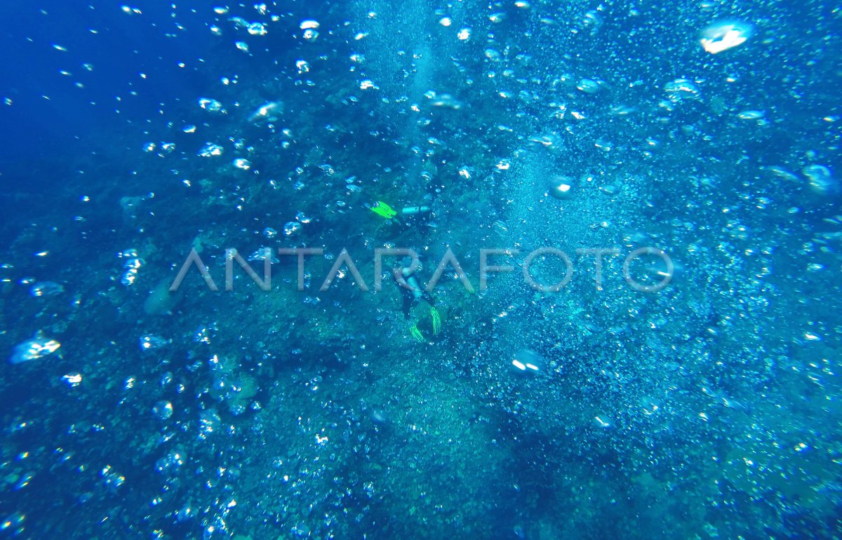 Menyelam Di Gunung Berapi Bawah Laut Antara Foto