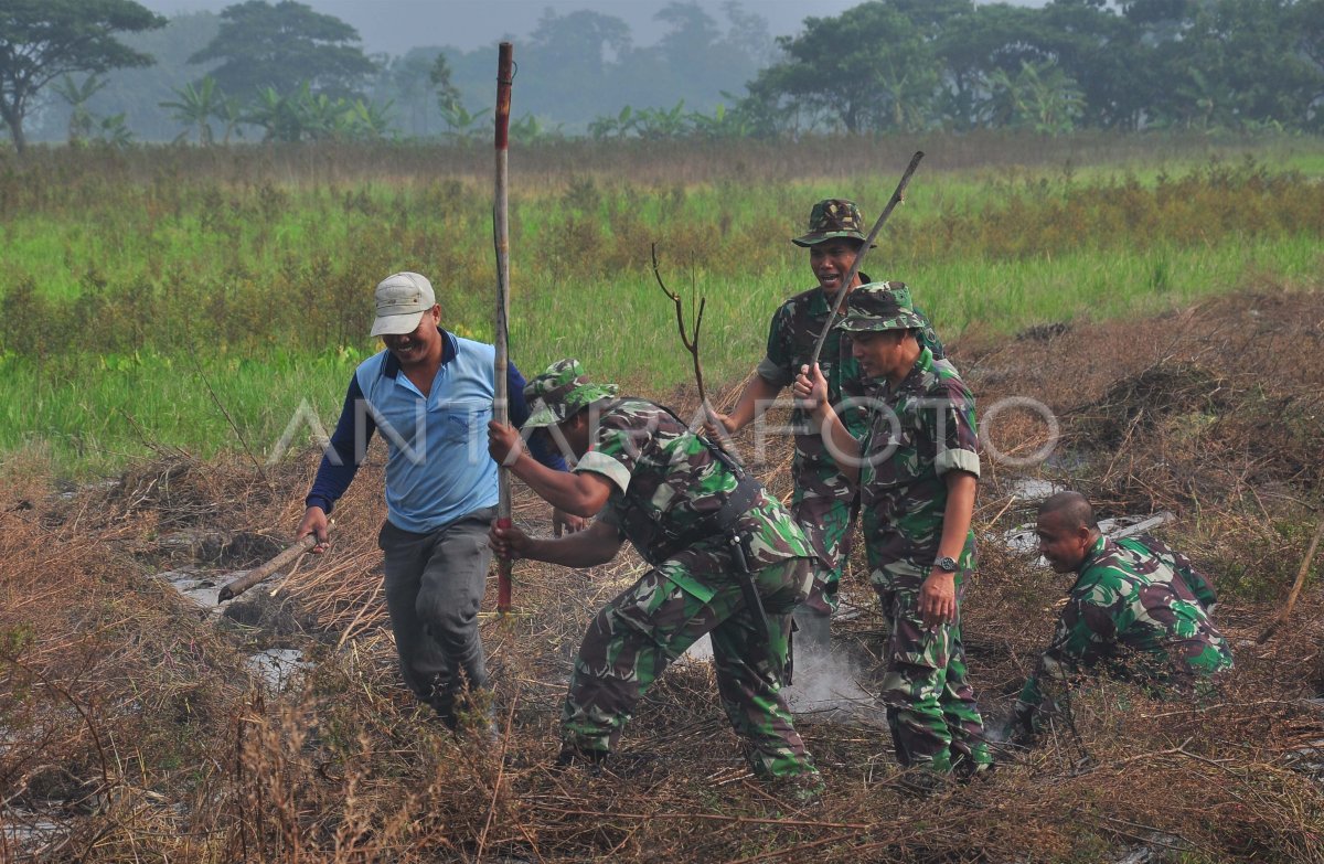 PENGENDALIAN HAMA TIKUS BOYOLALI ANTARA Foto