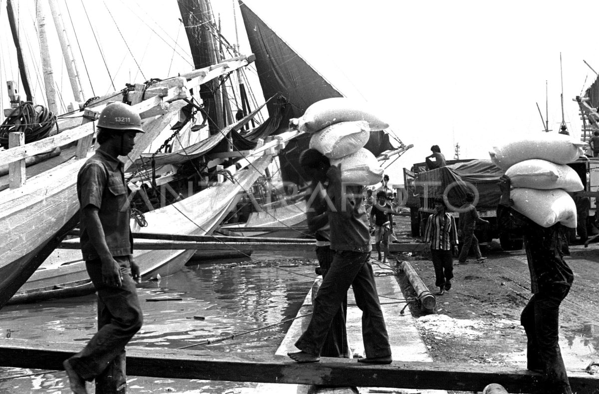 KEGIATAN BONGKAR MUAT PELABUHAN SUNDA KELAPA ANTARA Foto