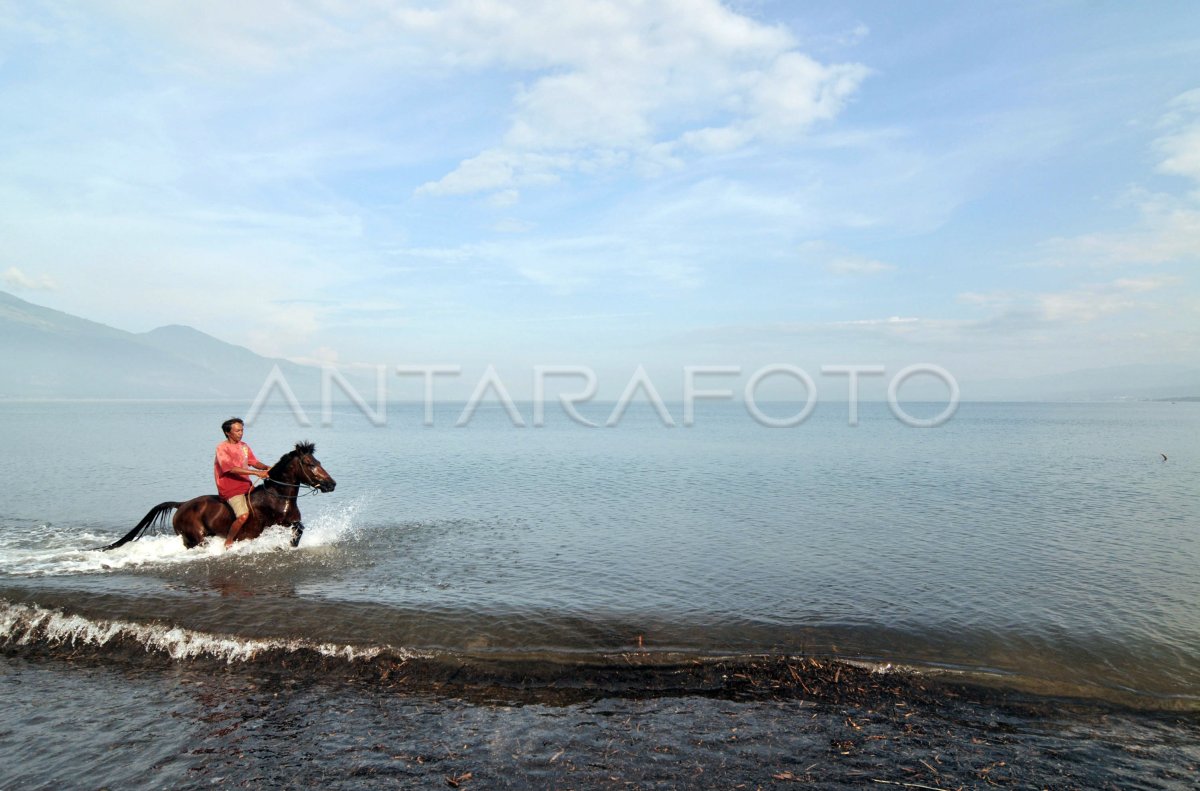 Latihan Kuda Pacu Antara Foto