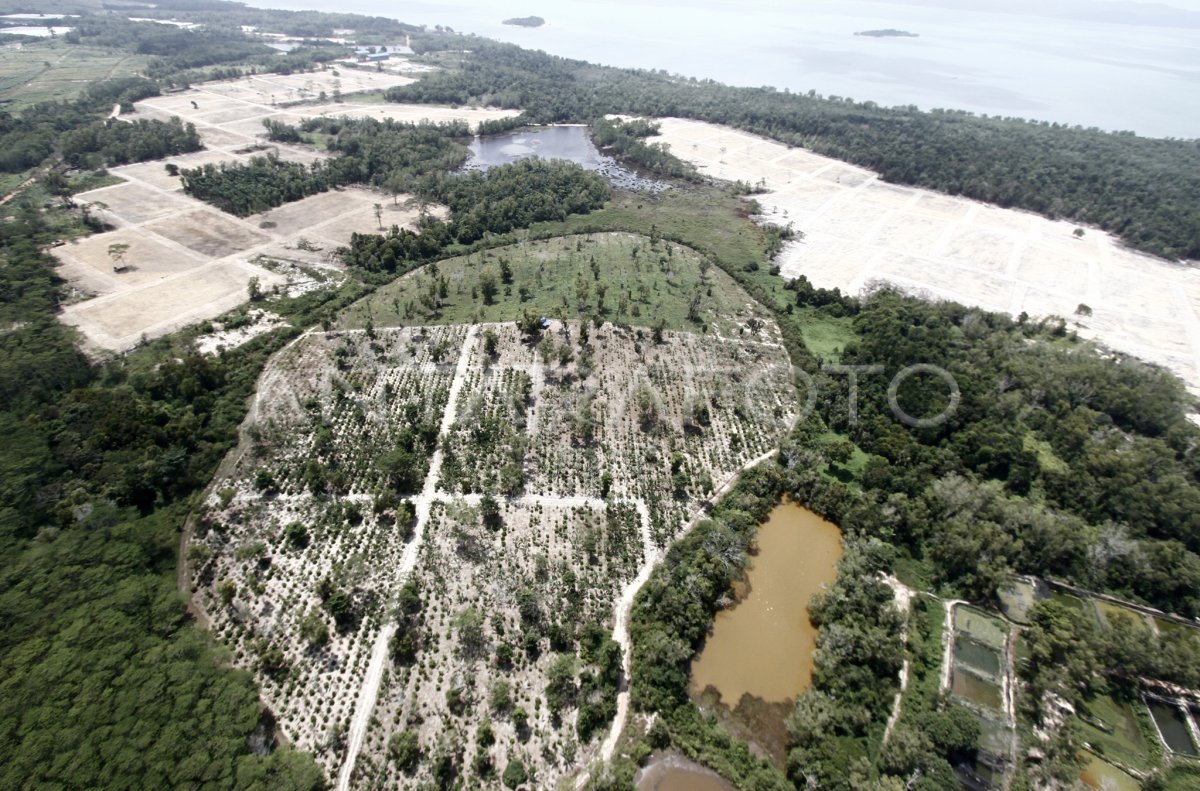 Alih Fungsi Hutan Antara Foto