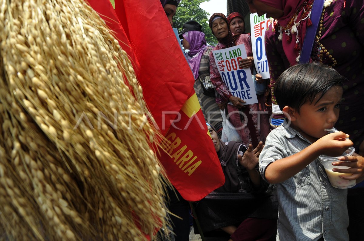 PENEGAKAN KEDAULATAN PANGAN ANTARA Foto