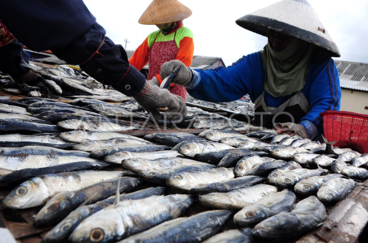 Harga Ikan Asin Naik Antara Foto