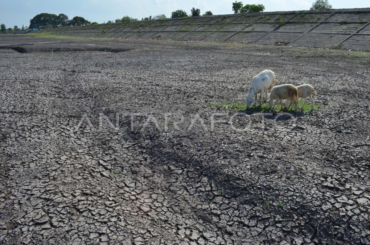 TERANCAM KEKERINGAN ANTARA Foto