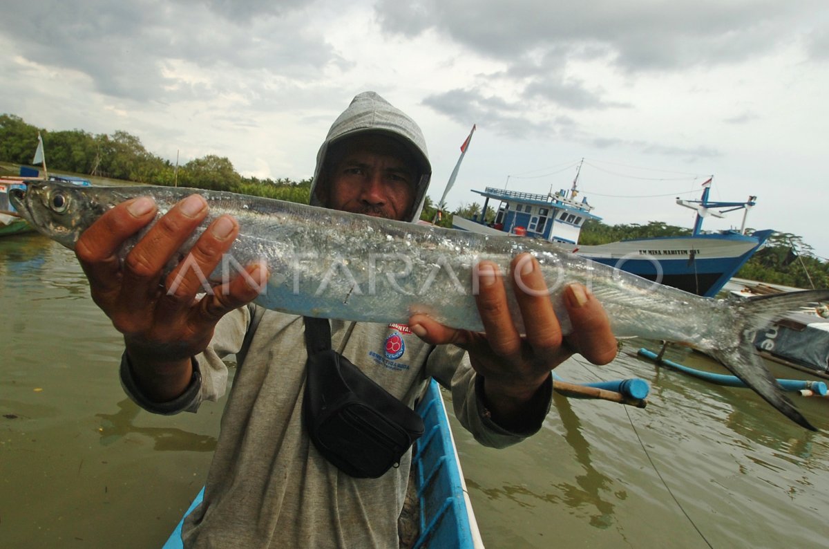 Tangkapan Ikan Menurun Antara Foto