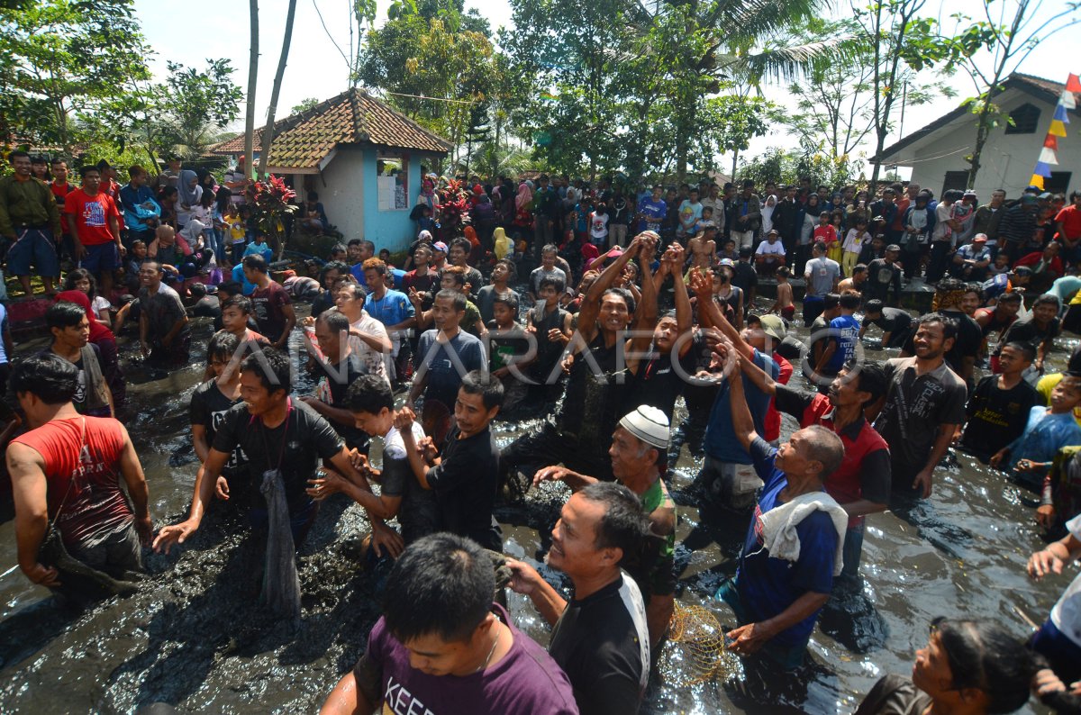 Tradisi Gibyag Ikan Bareng Artis Antara Foto