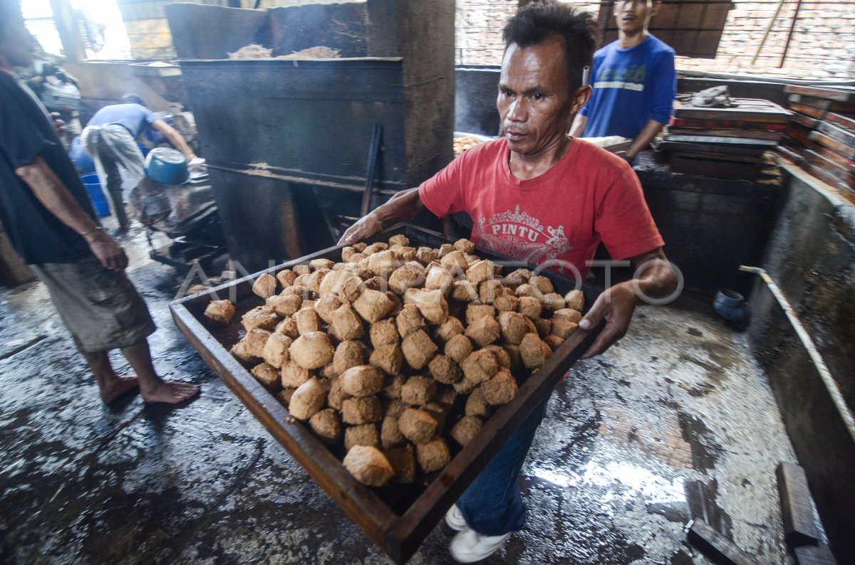 Target Produksi Kedelai Antara Foto