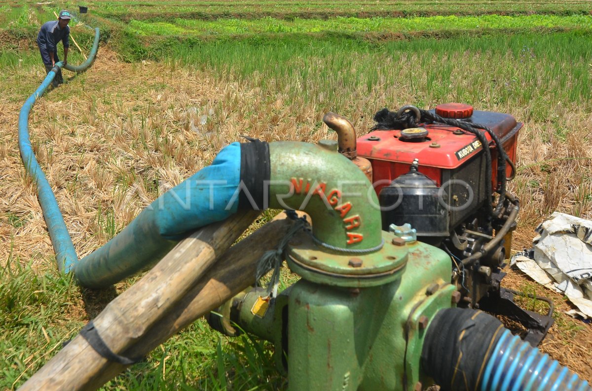 Petani Gunakan Pompa Air Untuk Pengairan Antara Foto