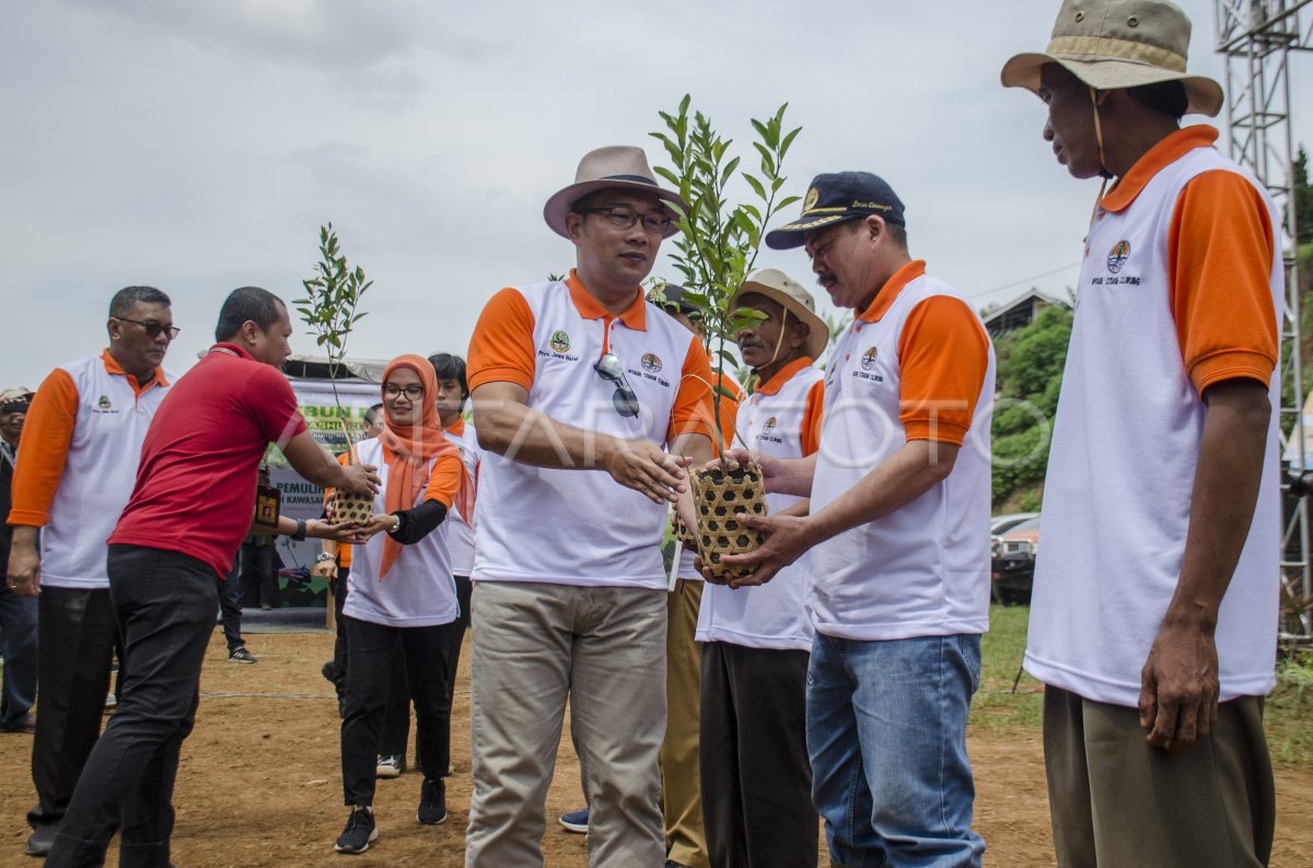 GERAKAN PENANAMAN POHON DI LAHAN KRITIS ANTARA Foto