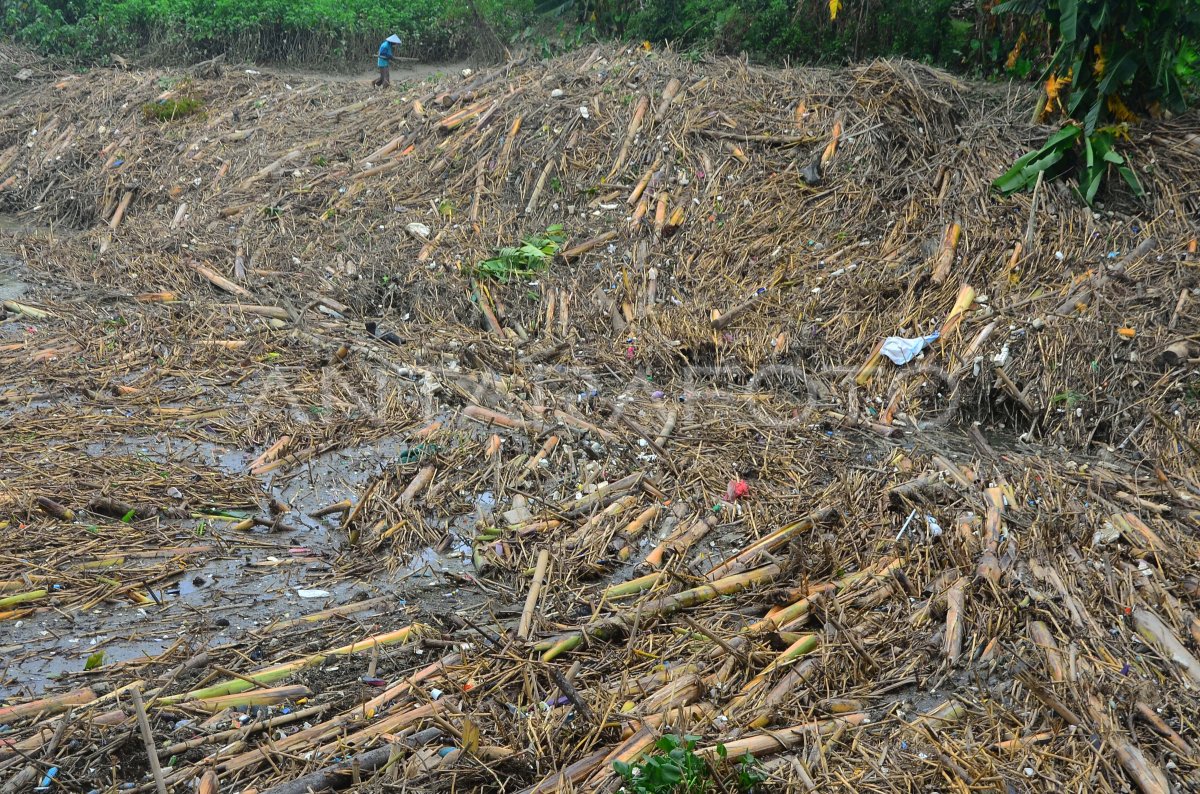 SAMPAH PENUHI BENDUNGAN ANTARA Foto