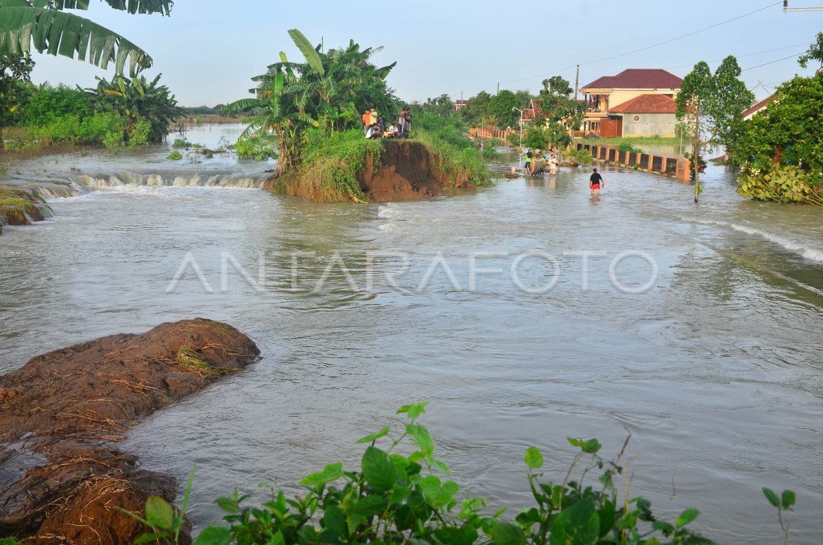 Banjir Akibat Tanggul Jebol Di Kudus Meluas Antara Foto