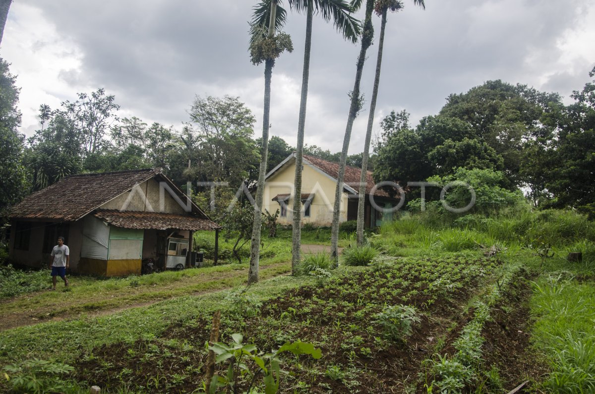 Lahan Relokasi Korban Gempa Cianjur Antara Foto