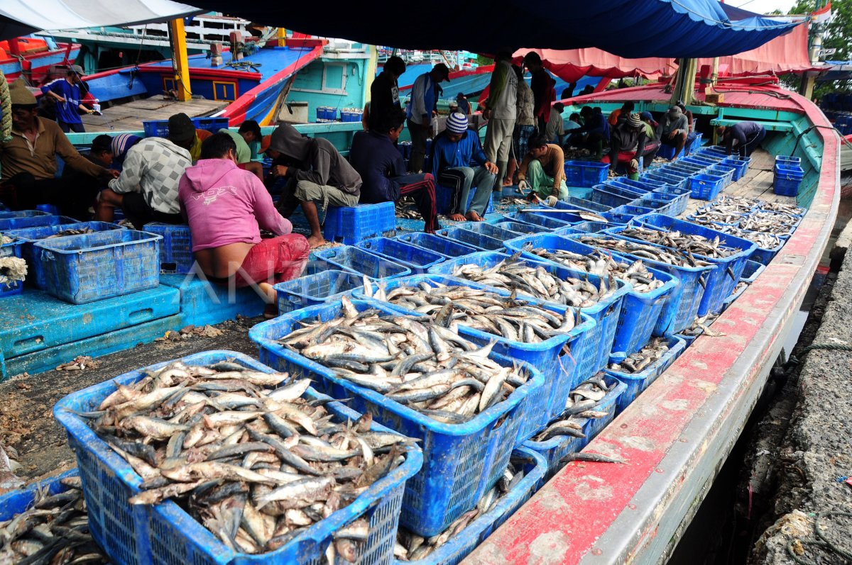 TARGET PRODUKSI IKAN ANTARA Foto