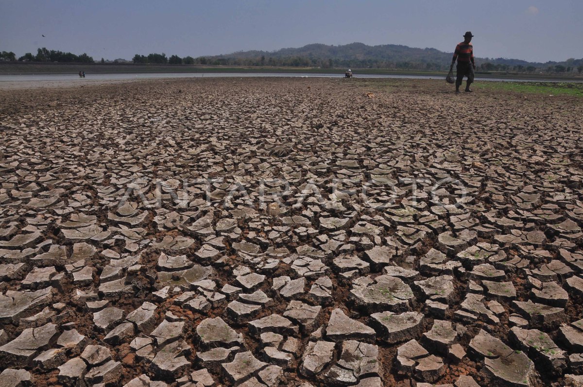 Waduk Bade Boyolali Mengering Antara Foto