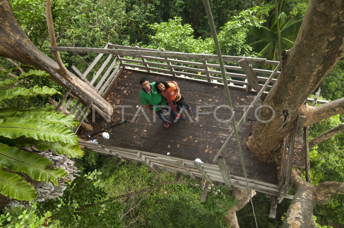 Birdwatching Taman Nasional Manusela Antara Foto