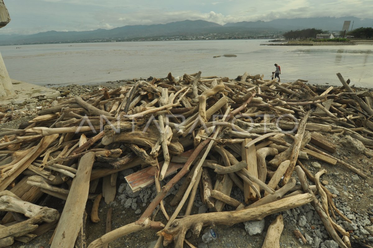 Manfaatkan Sampah Kayu Sisa Banjir Antara Foto