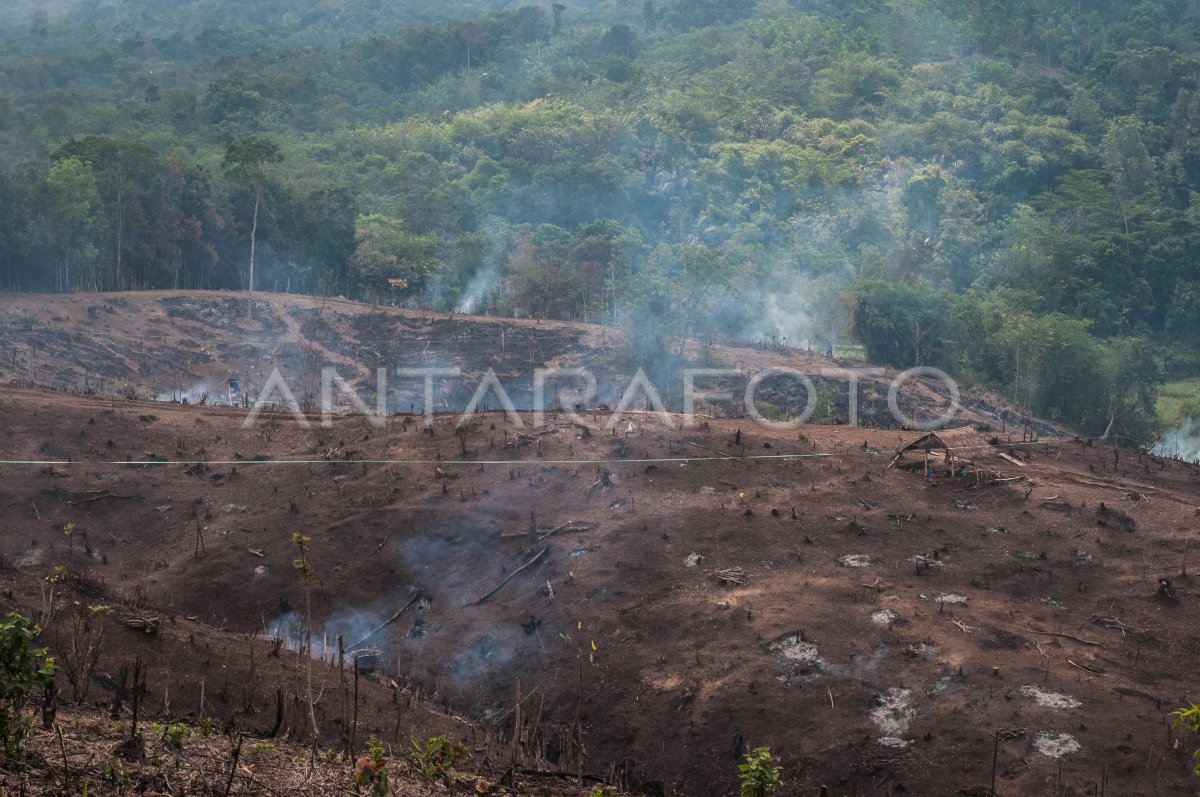 Tradisi Ngaduruk Suku Baduy Antara Foto