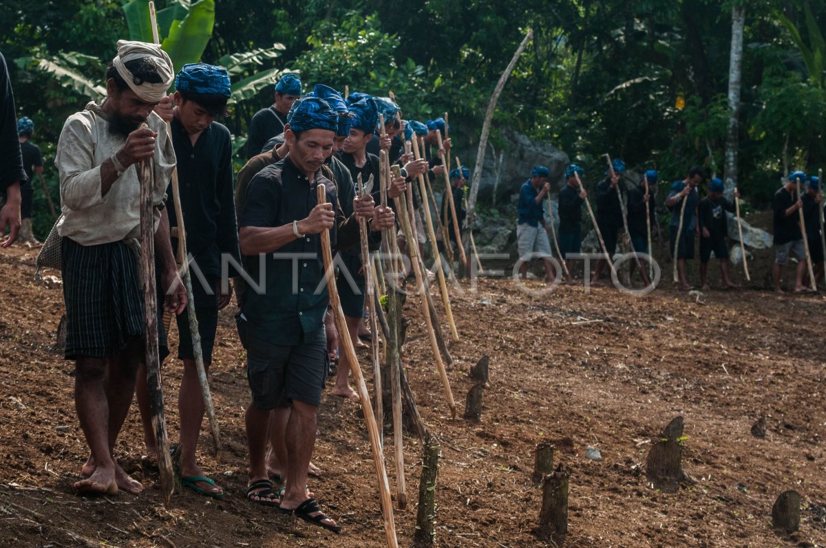 TRADISI NGASEUK SUKU BADUY ANTARA Foto