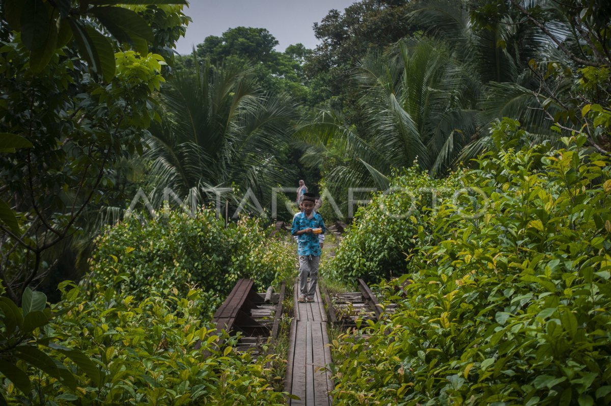 Rencana Reaktivasi Jalur Kereta Api Pandeglang Labuan Antara Foto