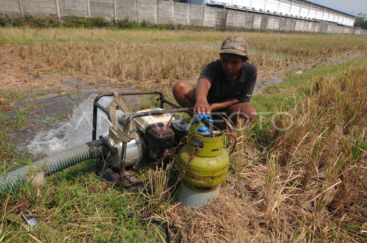 Petani Gunakan Elpiji Untuk Pompa Air Sawah Antara Foto