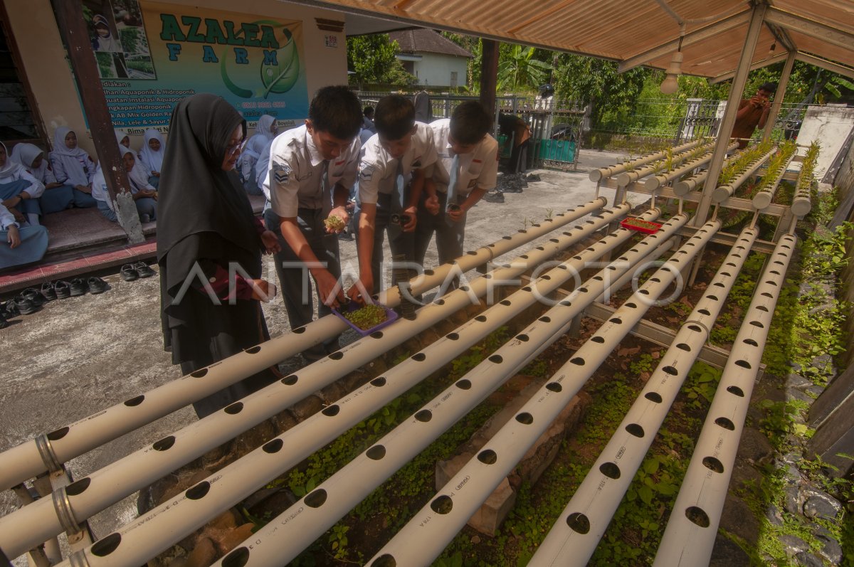 Siswa Belajar Mengenal Pertanian Hidroponik Di Boyolali ANTARA Foto