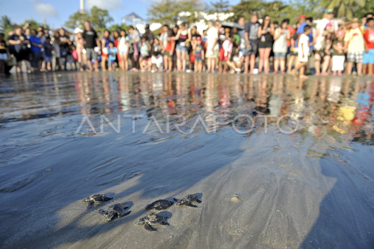 Wisata Konservasi Antara Foto