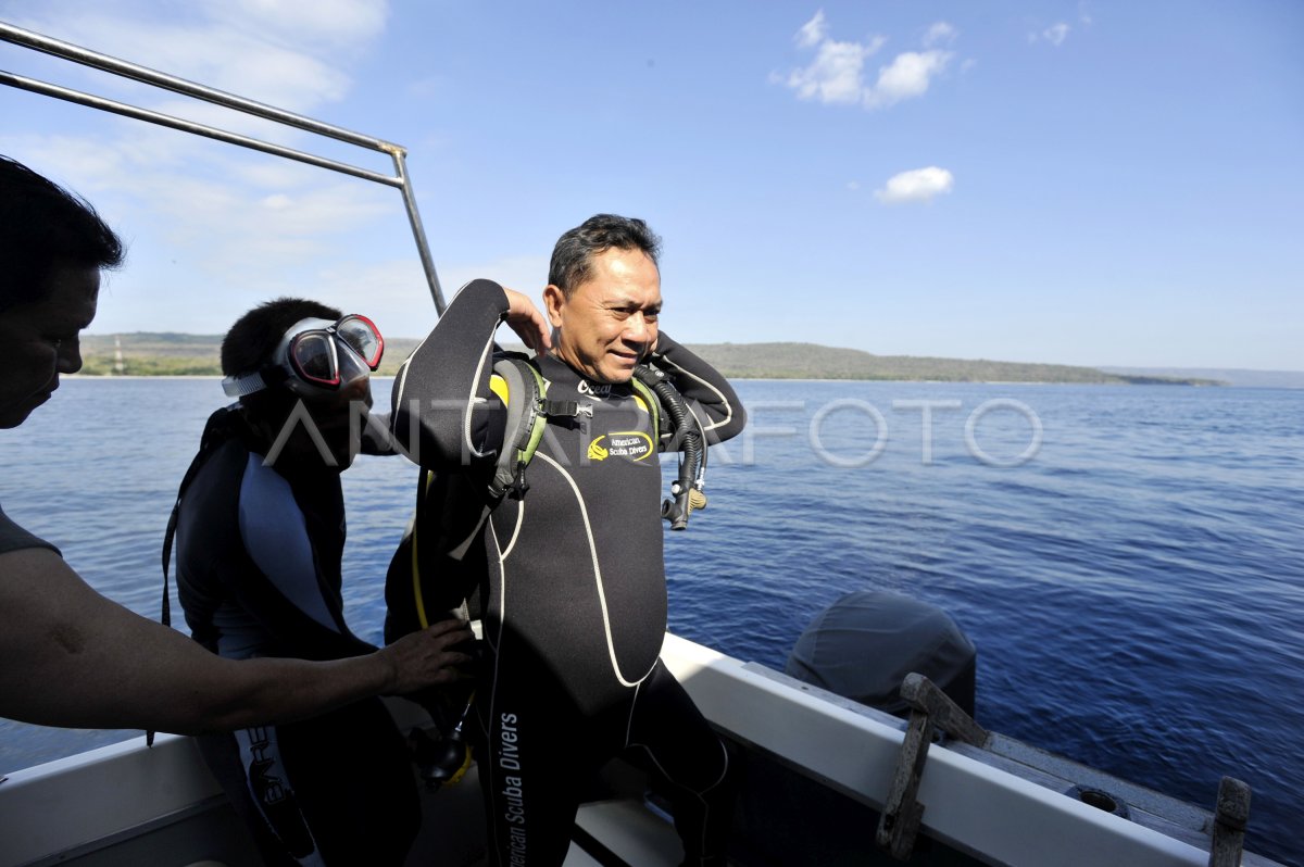 WISATA LAUT PULAU MOYO ANTARA Foto