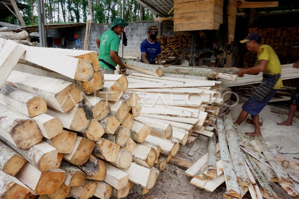 PERTUMBUHAN INDUSTRI PENGOLAHAN KAYU NASIONAL ANTARA Foto