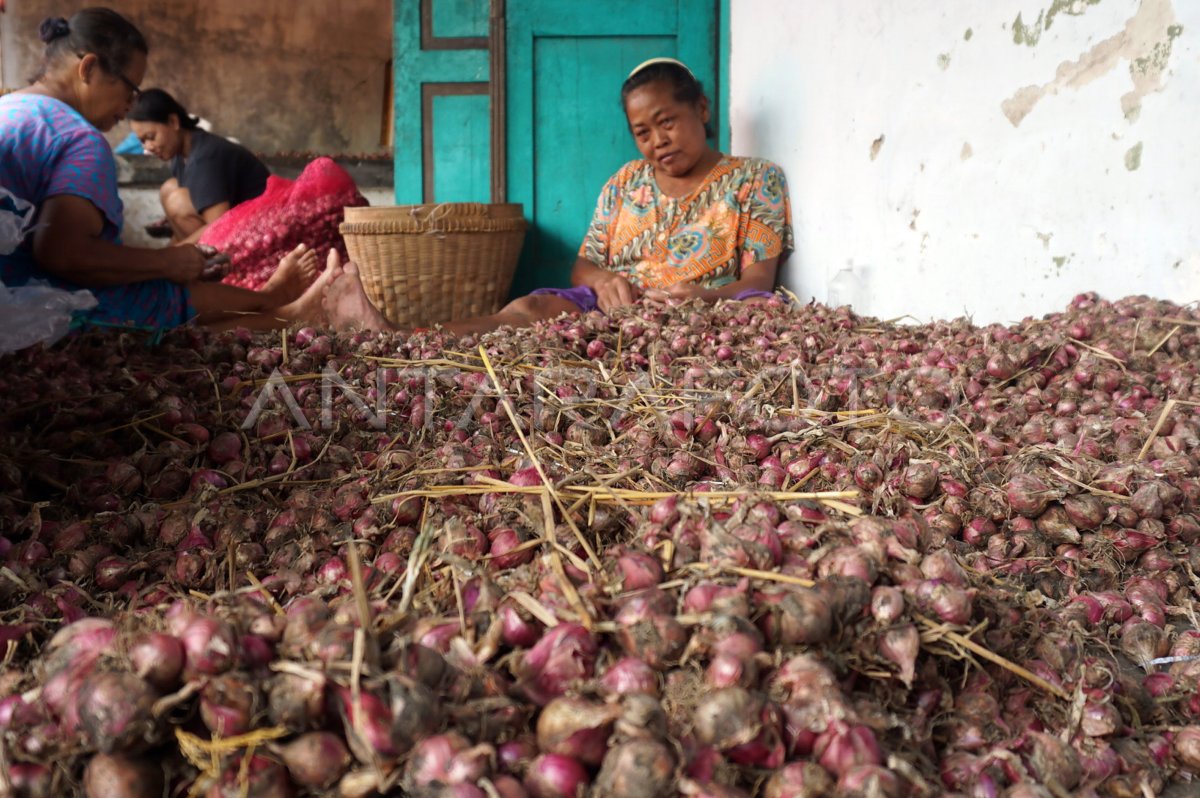 HARGA BAWANG MERAH TURUN ANTARA Foto