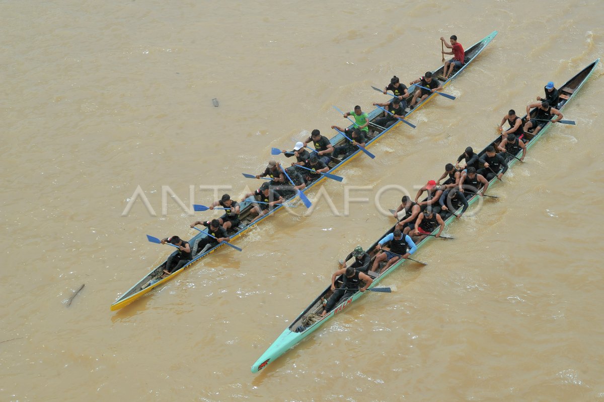 LOMBA PACU PERAHU DI SUNGAI BATANGHARI ANTARA Foto