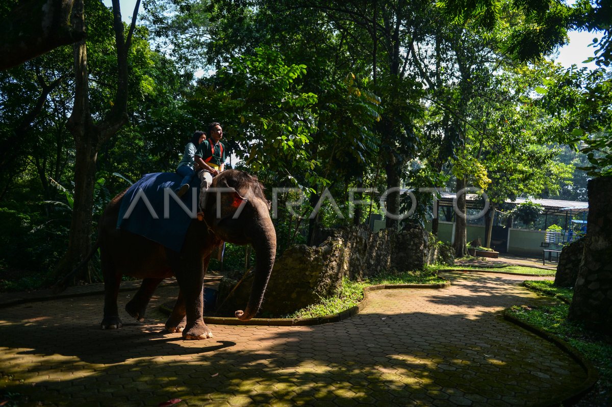 Sengketa Kepemilikan Lahan Kebun Binatang Bandung Antara Foto