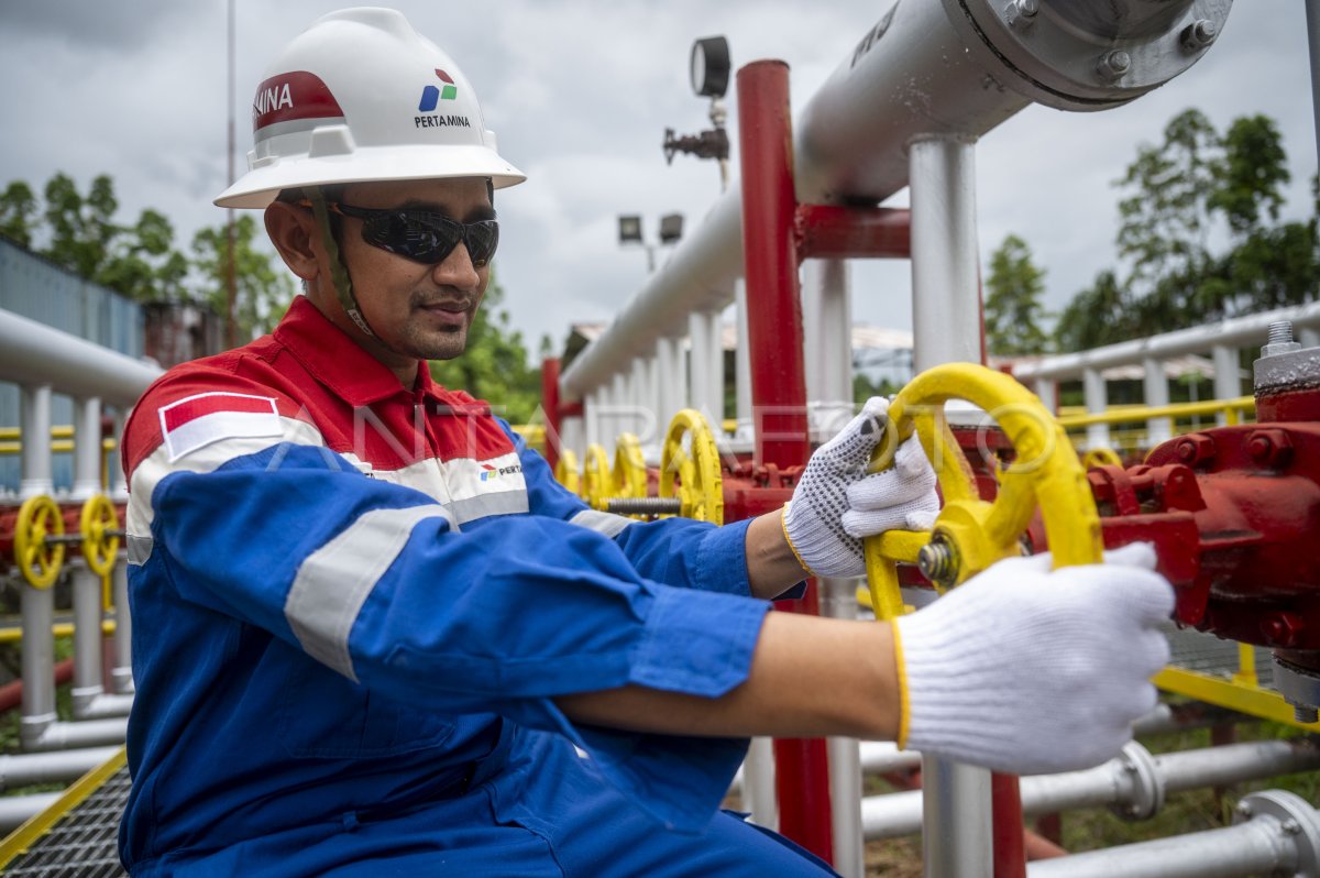 Pertamina EP Papua Field Lapangan Produksi Migas Pertama Di Kabupaten