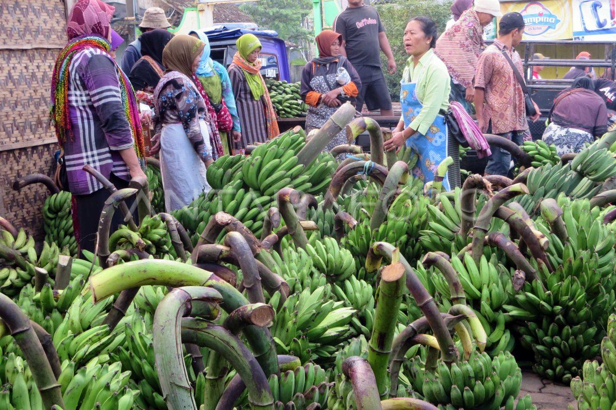 Pasar Pisang Tradisional Antara Foto