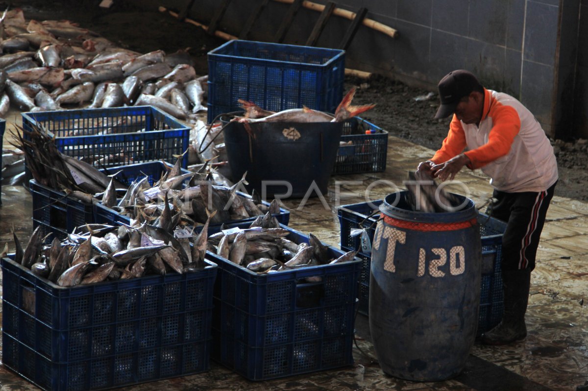 Tangkapan Ikan Menurun Antara Foto