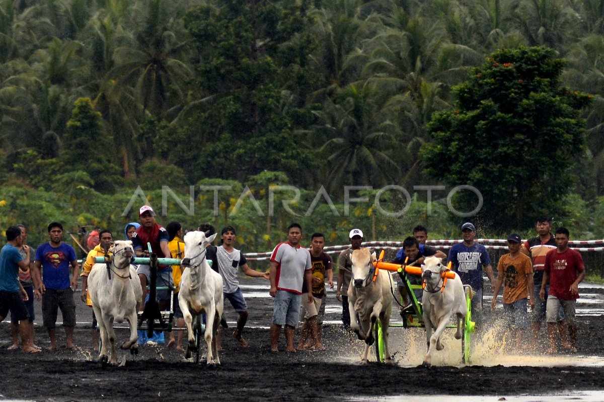 PACU RODA KHAS MINAHASA ANTARA Foto