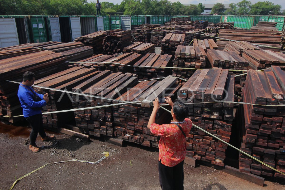 Hasil Ungkap Penggagalan Penyelundupan Kayu Antara Foto