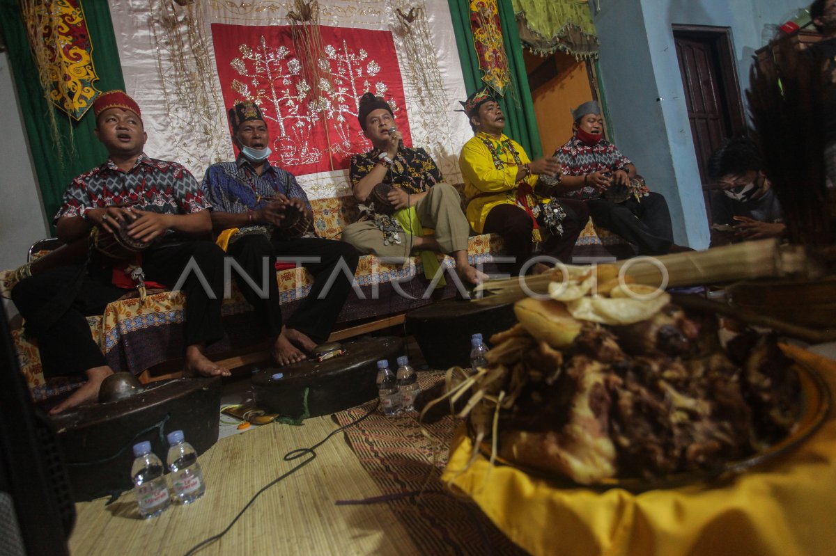 RITUAL ADAT BALIAN NIMBUK SAWANG DAYAK KALTENG ANTARA Foto