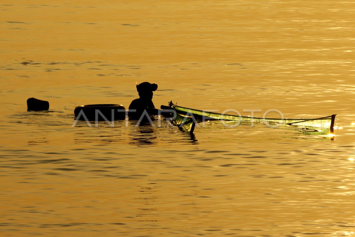 Nelayan Udang Rebon Surabaya Antara Foto