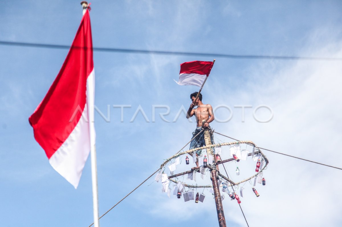 Lomba Panjat Pinang Meriahkan Hut Kemerdekaan Ri Antara Foto