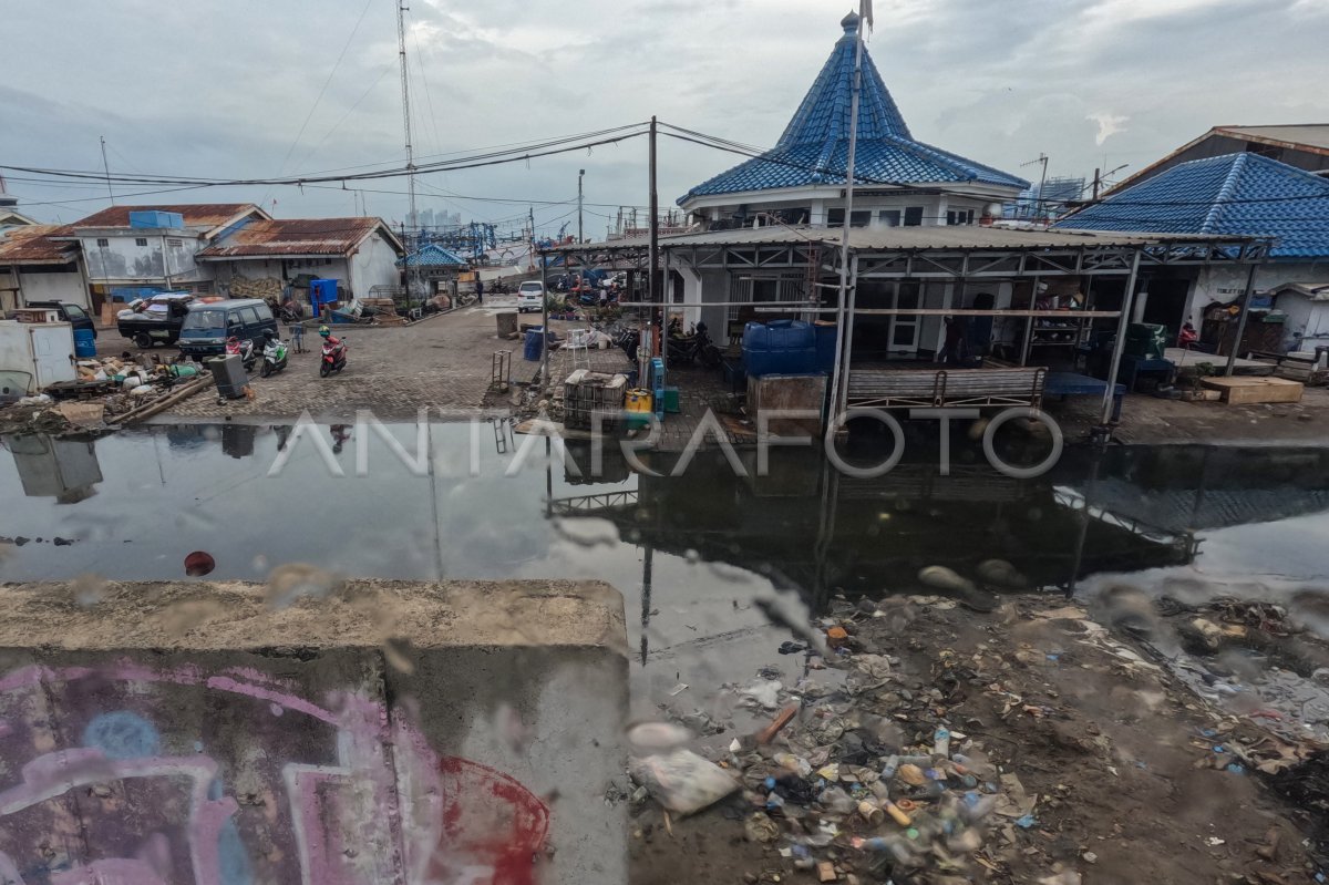 ANCAMAN ROB 21 DAERAH DI INDONESIA ANTARA Foto