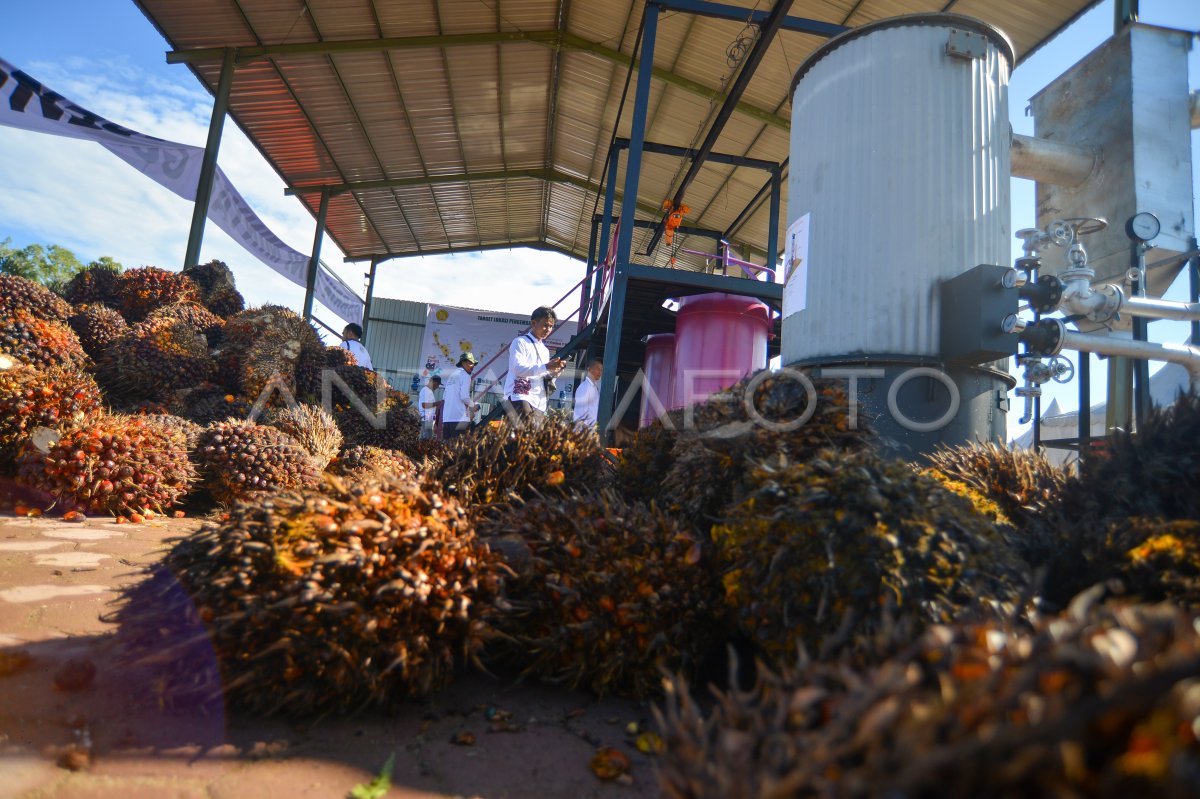 Inovasi Pabrik Mini Minyak Goreng Antara Foto