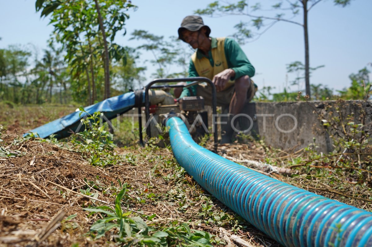 Persewaan Mesin Sedot Air Untuk Pertanian ANTARA Foto